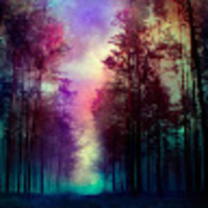 Meet your Posher, Kat